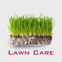 lawn-care